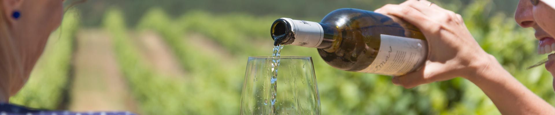 Déjate conquistar por Terras Gauda