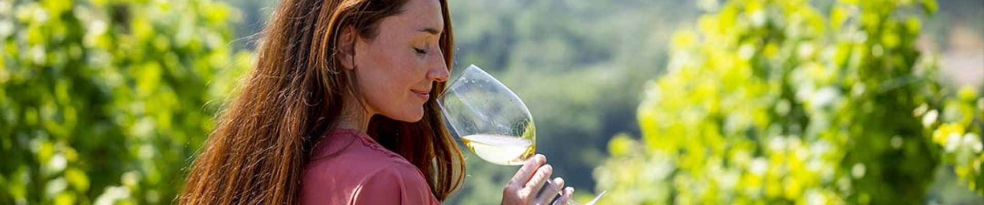 Visita Finca Fillaboa