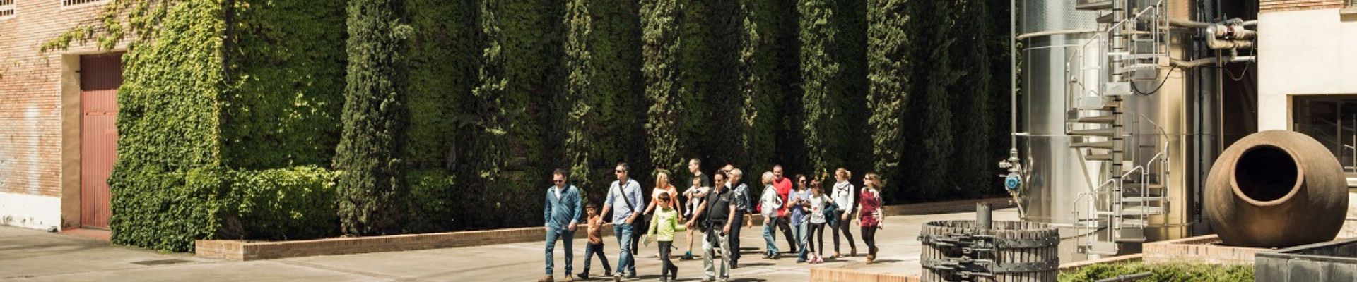 Visita guiada + Degustación de vinos