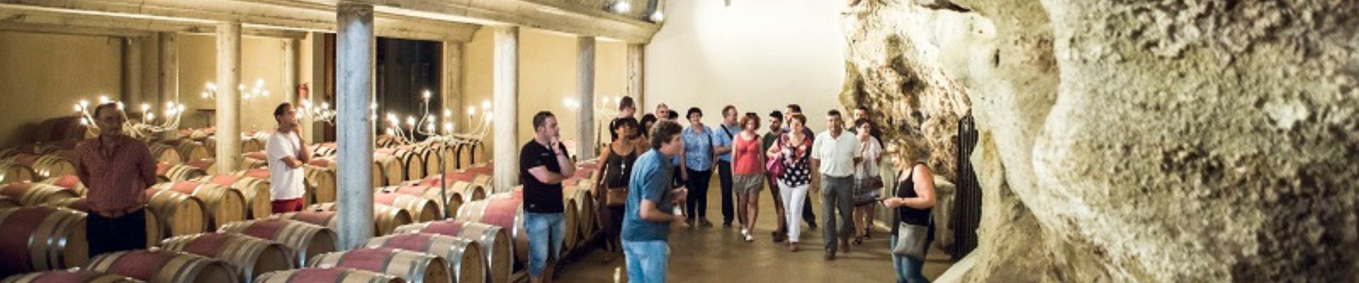 Visita guiada por viñedos y bodega