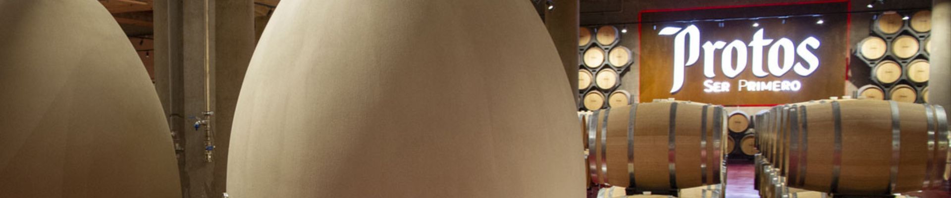 Visita Singular (Peñafiel)