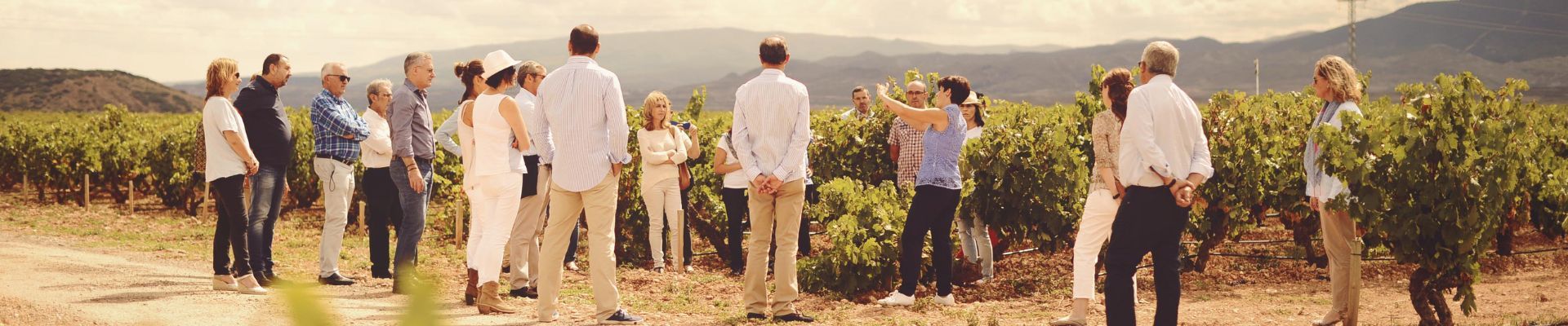 Visita y cata de 6 vinos