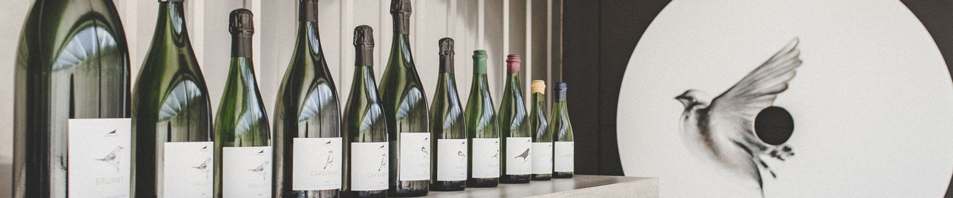 Visita y maridaje con jamón ibérico y quesos