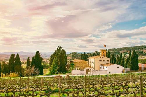 Bodegas Albet i Noya