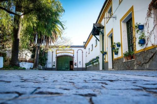 Bodegas Toro Albalá